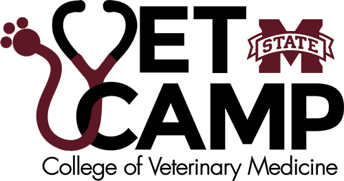 Vet Camp Logo