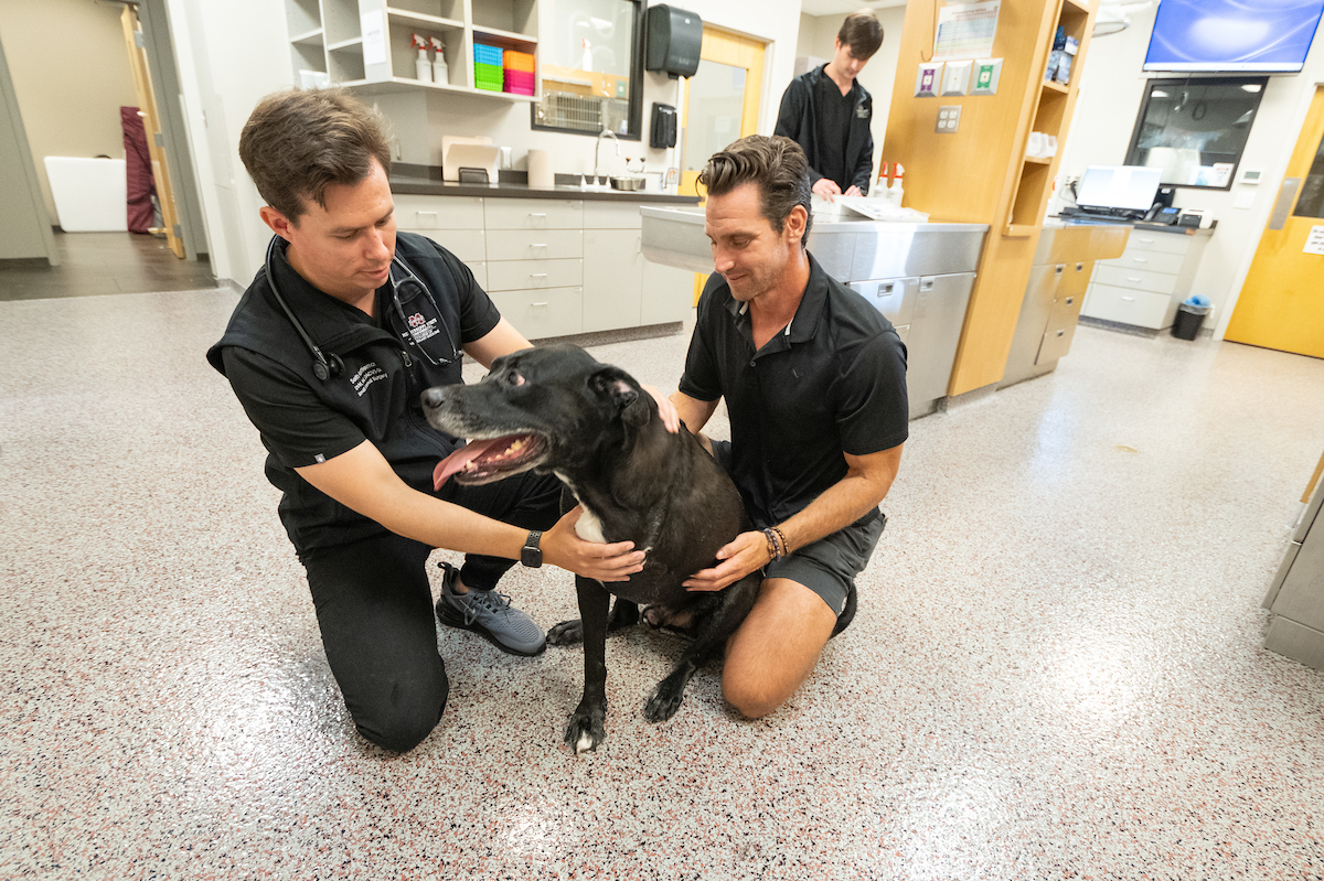 A vet and an owner look over a dog's health.