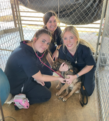 Three vet tech students with a dog.