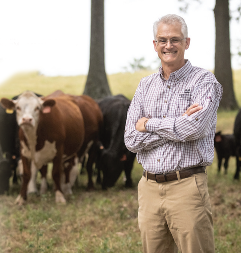 Dr. Nicholas Frank, Dean of the College of Veterinary Medicine at Mississippi State University, poses in front of a few cows.